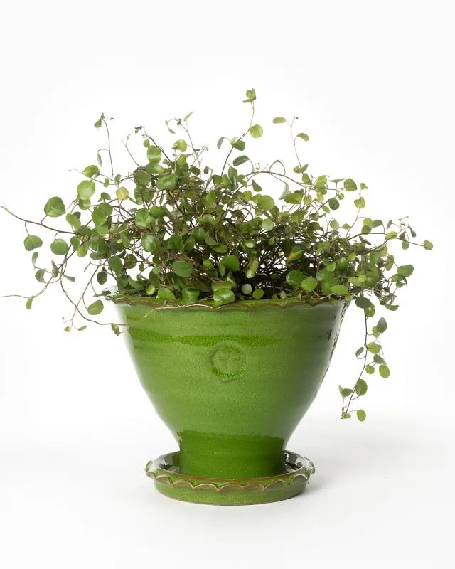 Kruka Sturehof - Adelcrantz, 17 cm grön