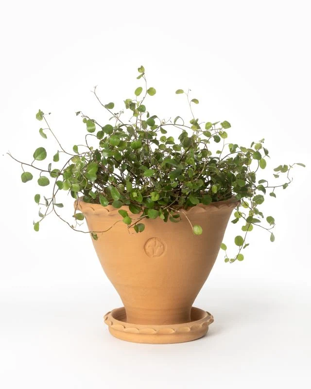 Kruka Sturehof - Adelcrantz 17 cm