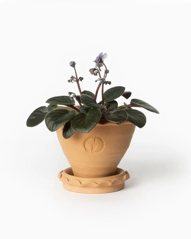 Kruka Sturehof - Adelcrantz 11 cm