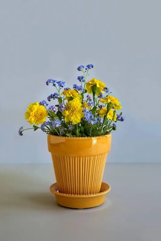 Bergs Potter Kruka med fat Montmartre - Gul 16 cm
