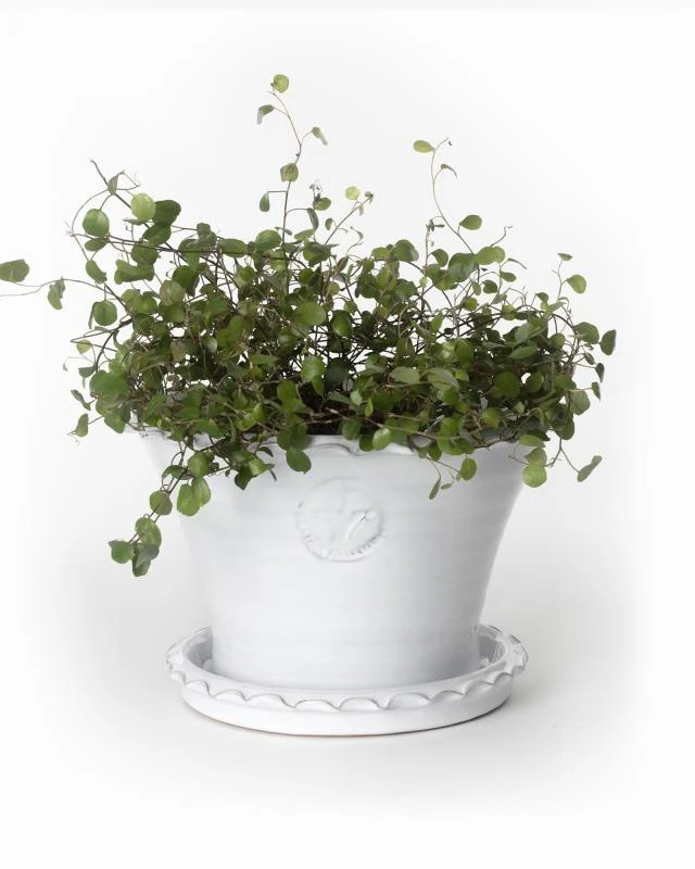 Kruka Sturehof - Liljencrantz, 20 cm vit