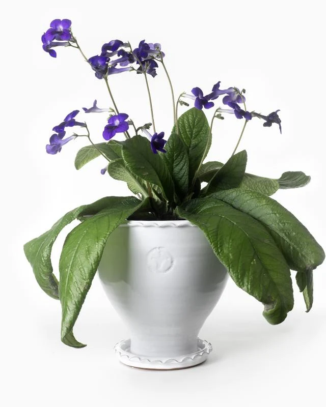 Kruka Sturehof - Adelcrantz, 24 cm vit