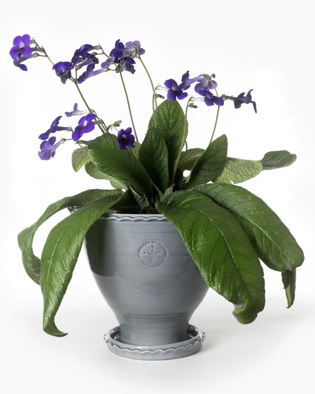 Kruka Sturehof - Adelcrantz, 24 cm grå