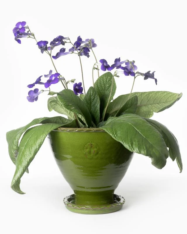 Kruka Sturehof - Adelcrantz, 24 cm grön