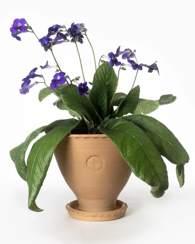 Kruka Sturehof - Adelcrantz 24 cm