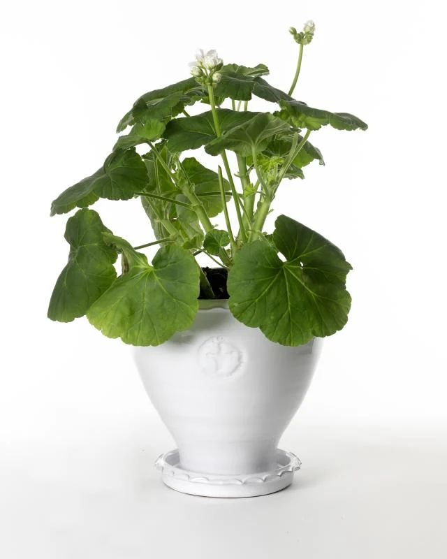 Kruka Sturehof - Adelcrantz, 21 cm vit
