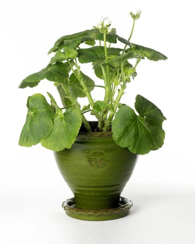 Kruka Sturehof - Adelcrantz, 21 cm grön