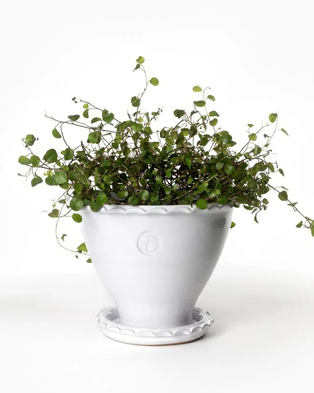 Kruka Sturehof - Adelcrantz, 17 cm vit
