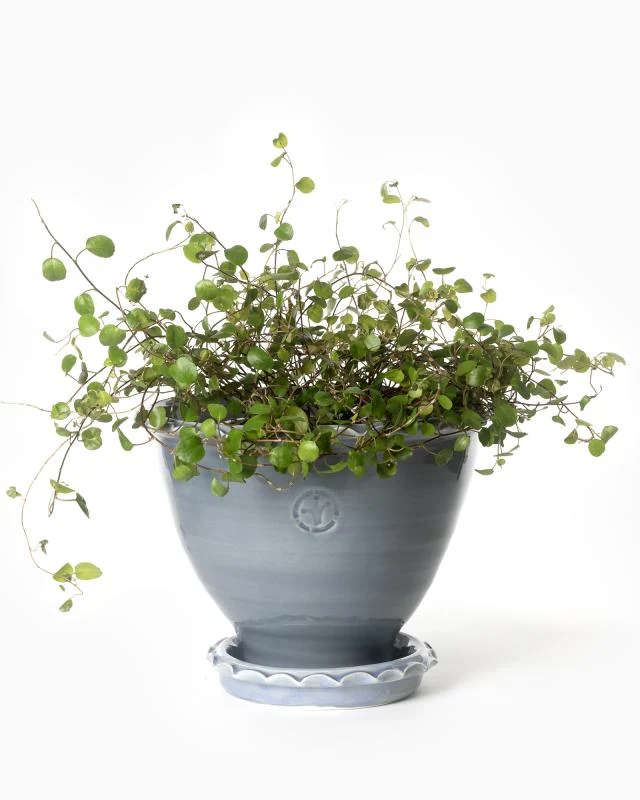 Kruka Sturehof - Adelcrantz, 17 cm grå