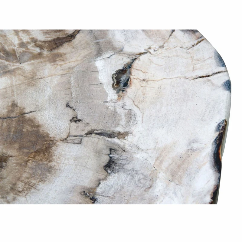 Casa Padrino Luxus Beistelltisch mit versteinerter Holz Tischplatte H. 45 cm - Luxus Möbel