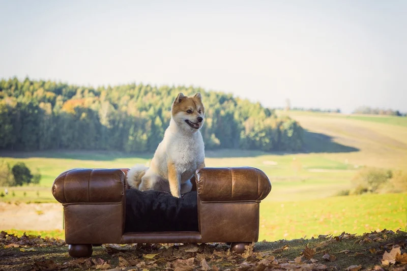 Casa Padrino Luxus Leder Hundebett Dunkelbraun / Schwarz 109 x 89 x H. 37 cm - Rechteckiges Echtleder Hundebett - Luxus Echtleder Tiermöbel