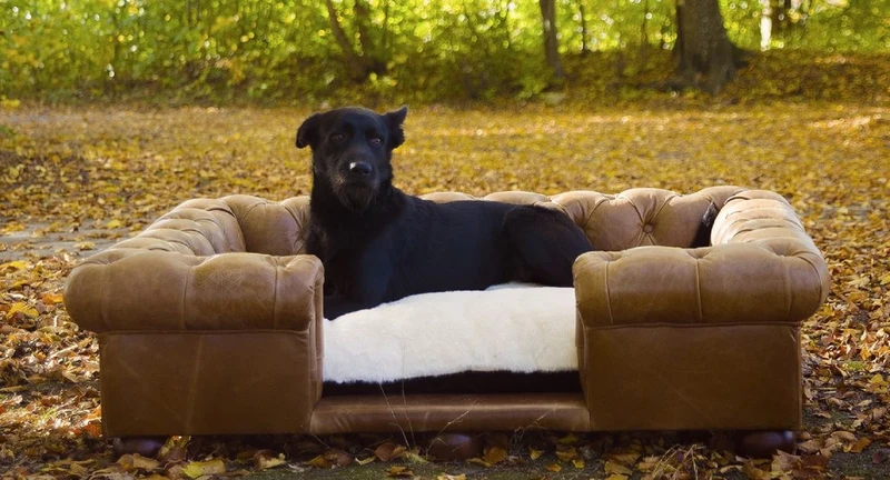 Casa Padrino Luxus Chesterfield Leder Hundebett Vintage Braun / Dunkelbraun / Weiß / Schwarz 134 x 104 x H. 37 cm - Rechteckiges Echtleder Hundebett - Luxus Chesterfield Leder Tiermöbel