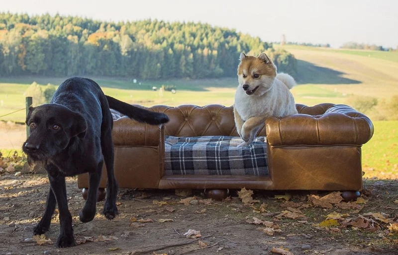 Casa Padrino Luxus Chesterfield Leder Hundebett Vintage Braun / Dunkelbraun / Mehrfarbig 134 x 104 x H. 37 cm - Rechteckiges Echtleder Hundebett - Luxus Chesterfield Leder Tiermöbel
