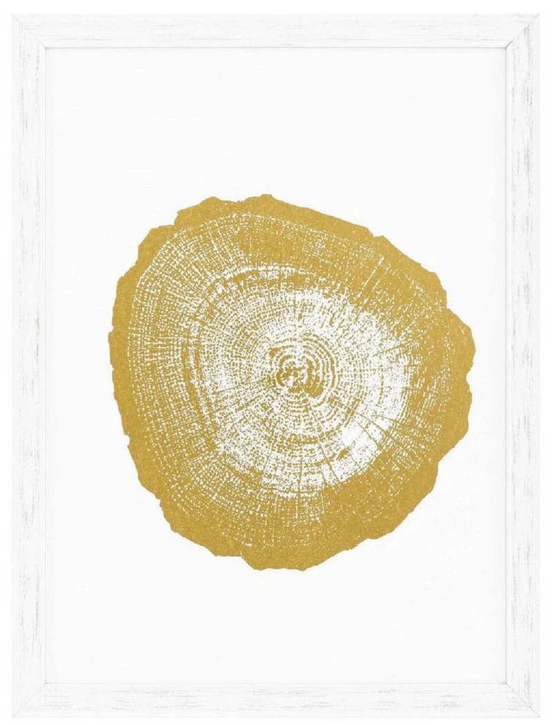 Casa Padrino Luxus Bilder Set Baumscheiben Jahresringe Weiß / Gold 61,5 x H. 82 cm - Kunstdrucke - Wandbilder - Wanddeko - Deko Accessoires