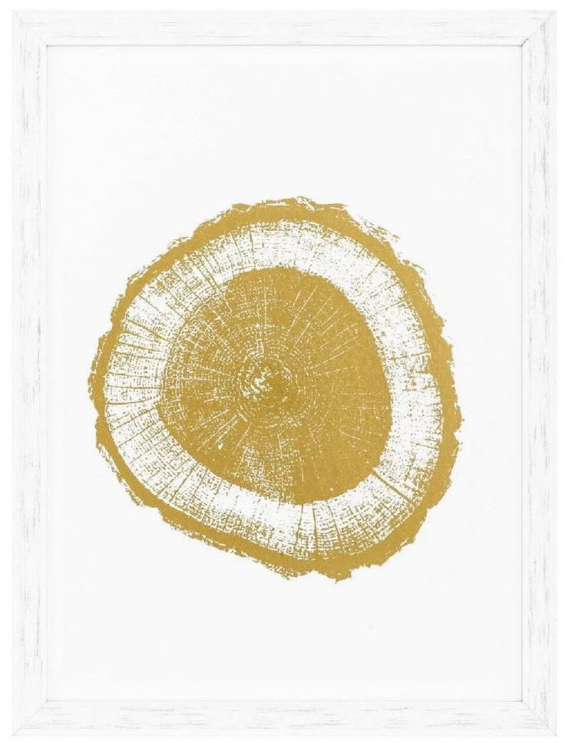 Casa Padrino Luxus Bilder Set Baumscheiben Jahresringe Weiß / Gold 61,5 x H. 82 cm - Kunstdrucke - Wandbilder - Wanddeko - Deko Accessoires