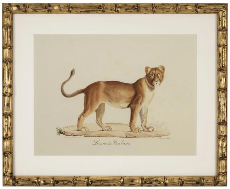 Casa Padrino Deko Bilder Set Löwen Tiger Jaguare Antik Gold 54 x H. 44 cm - Luxus Wanddekoration
