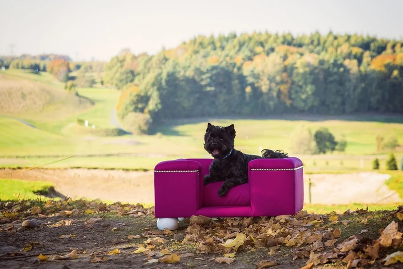 Casa Padrino Luxus Hundebett Lila / Weiß / Lila 80 x 65 x H. 37 cm - Modernes Rechteckiges Hundebett mit Kissen - Luxus Hundemöbel - Luxus Tiermöbel