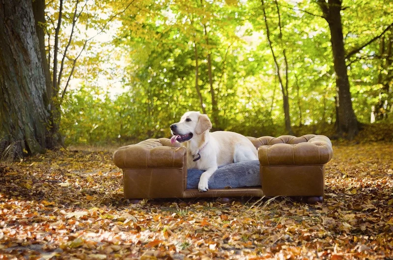 Casa Padrino Luxus Chesterfield Leder Hundebett Vintage Braun / Dunkelbraun / Grau 134 x 104 x H. 37 cm - Rechteckiges Echtleder Hundebett - Luxus Chesterfield Leder Tiermöbel