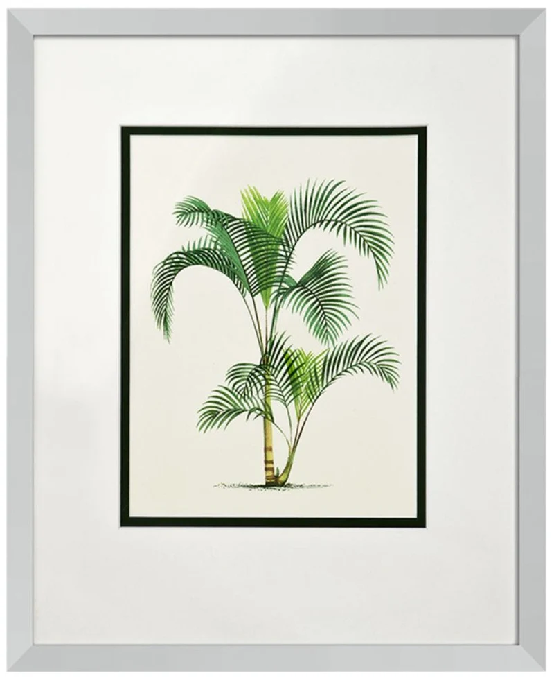 Casa Padrino Bilder / Kunstdruck 4er Set Palmen Mehrfarbig 43 x H. 53 cm - Luxus Deko