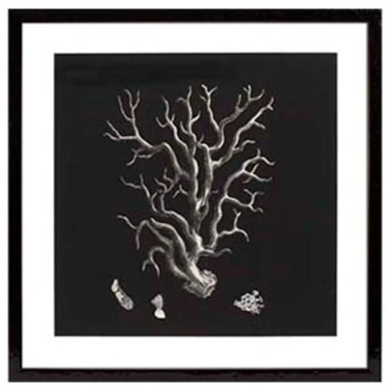 Casa Padrino Bilder / Kunstdruck 4er Set Korallen Schwarz 64 x H. 64 cm - Luxus Deko
