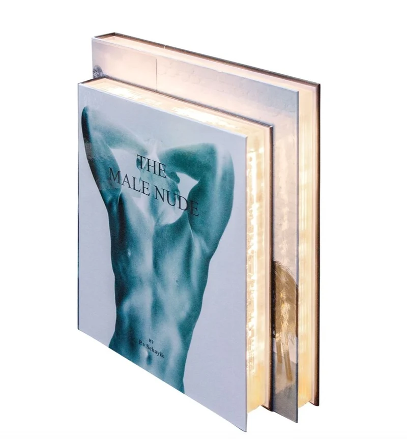 Casa Padrino Luxus Tischleuchte im Bücher Design Männer 31 x 7,5 x H. 26,5 cm - LED Tischlampe