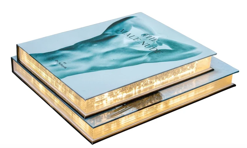 Casa Padrino Luxus Tischleuchte im Bücher Design Männer 31 x 7,5 x H. 26,5 cm - LED Tischlampe